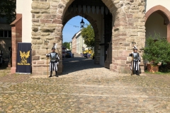 PHOTO-2021-11-08-21-38-31